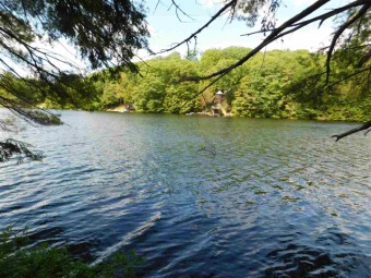 Lake Horace Acreage For Sale in Weare New Hampshire