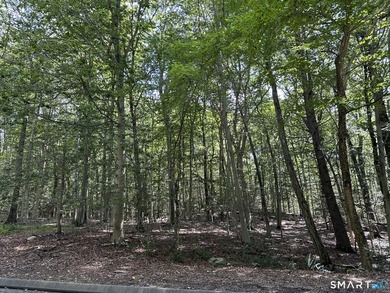 Amazing opportunity to build your DREAM HOME! This 2 acre parcel - photo 11