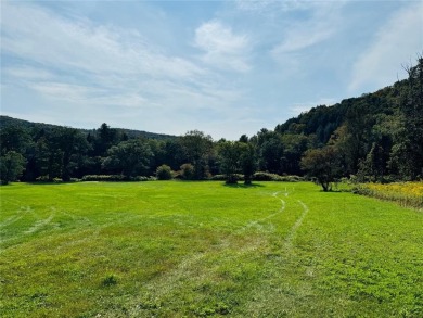 Lake Acreage For Sale in Hancock, New York