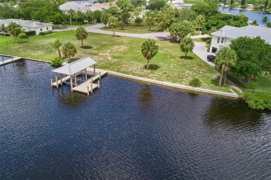 South Branch Manatee River  Lot For Sale in Ruskin Florida