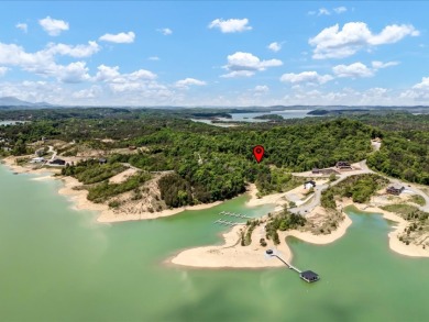 Build Your Douglas Lake Getaway Without the Lakefront Price - photo 21