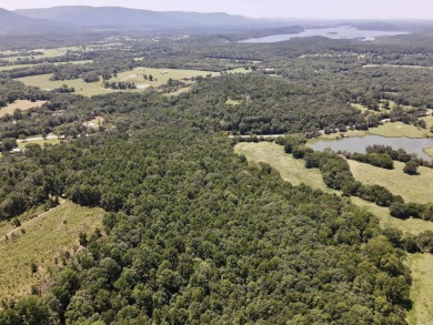 Lake Acreage For Sale in Havana, Arkansas