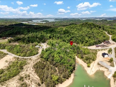 Build Your Douglas Lake Getaway Without the Lakefront Price - photo 3
