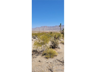 Lake Mead Lot For Sale in Meadview Arizona