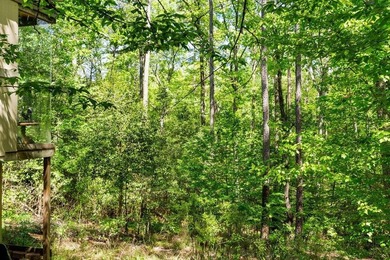 Hidden Gem Near the Water - Unique Artist-Inspired Retreat! - photo 33