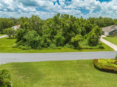 East Lake Tohopekaliga Lot For Sale in ST Cloud Florida