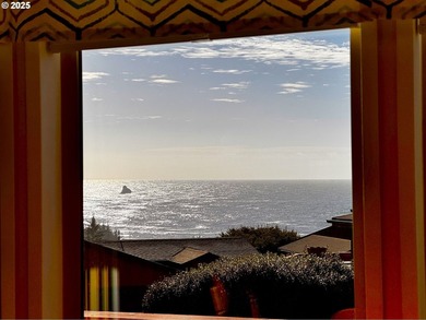OCEAN VIEWS from this large, active vacation rental at - photo 6