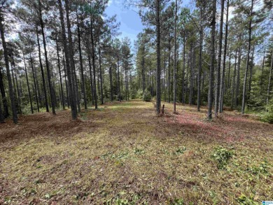 Discover the perfect setting for your dream home. Tucked away in - Lake Acreage For Sale in Cropwell, Alabama