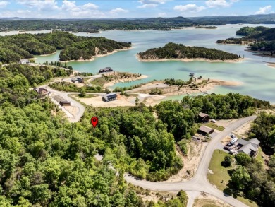 Build Your Douglas Lake Getaway Without the Lakefront Price - photo 16