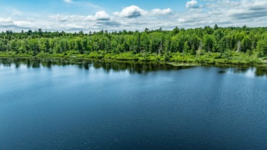 Lake Acreage For Sale in Waltham, Maine