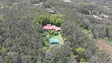 Come Home to Royal Hawaiian Estates near Volcano Village! This - photo 3