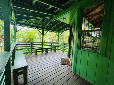 Come Home to Royal Hawaiian Estates near Volcano Village! This - photo 4