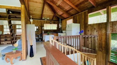 Come Home to Royal Hawaiian Estates near Volcano Village! This - photo 7