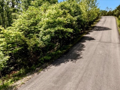 Build Your Douglas Lake Getaway Without the Lakefront Price - photo 8