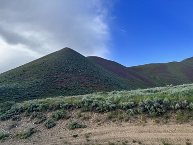 Big Wood River Acreage Sale Pending in Blaine County Idaho