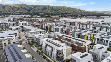 Welcome to this beautifully designed townhome in Fremont's - photo 3