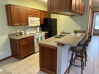 Looking for an upgraded, move-in ready condo that offers easy - photo 3