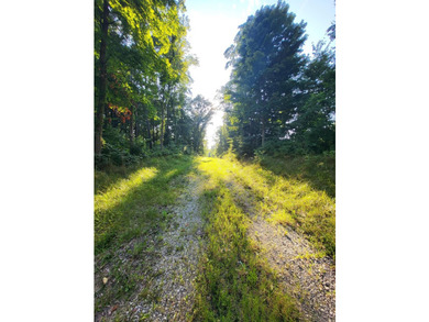 5.7+/- Acres on Day Lake Day Lake is a 27+/- acres of water - photo 12
