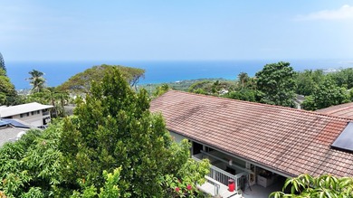 Spacious Kuakini Heights Home with Rental Potential Property - photo 6