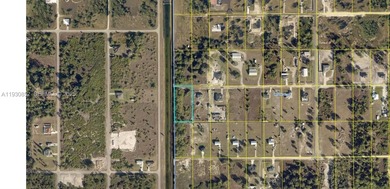 (private lake, pond, creek) Lot For Sale in La Belle Florida