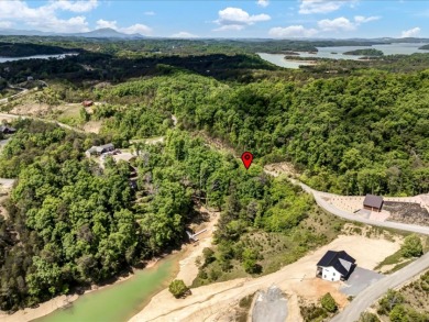 Build Your Douglas Lake Getaway Without the Lakefront Price - photo 10