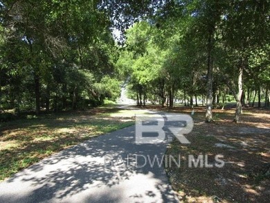 One of the best secrets in Gulf Shores, AL. Island Club is a - photo 32