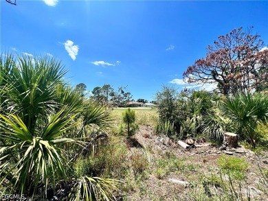Very nice lot in deeded neighborhood with a golf course behind - photo 4
