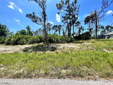 Very nice lot in deeded neighborhood with a golf course behind - photo 6