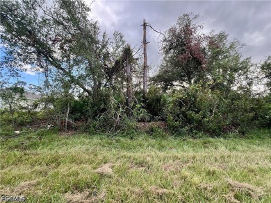 Beautiful lot offers a unique opportunity to build the home of - photo 1