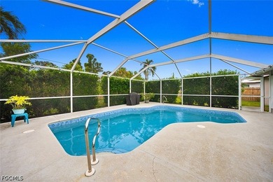 Charming pool home in the highly desirable SE Cape Coral Country - photo 2