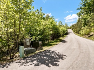 Build Your Douglas Lake Getaway Without the Lakefront Price - photo 6