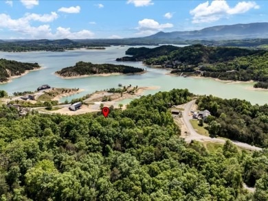 Build Your Douglas Lake Getaway Without the Lakefront Price - photo 2