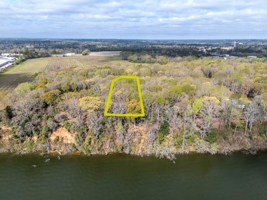 Lot 13 in Shadow Moss Subdivision offers a beautiful,157 X 435 - photo 8
