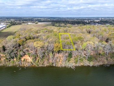 Lot 14 in Shadow Moss Subdivision is a waterfront lot on Lake - photo 5