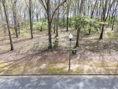 Lot 14 in Shadow Moss Subdivision is a waterfront lot on Lake - photo 8