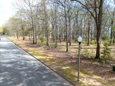 Lot 14 in Shadow Moss Subdivision is a waterfront lot on Lake - photo 9