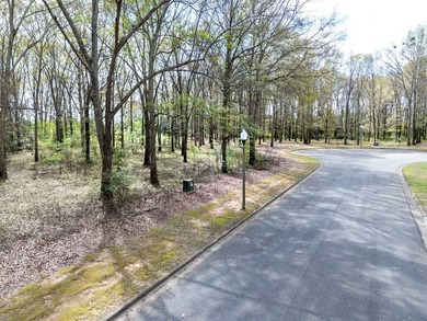 Lot 14 in Shadow Moss Subdivision is a waterfront lot on Lake - photo 10