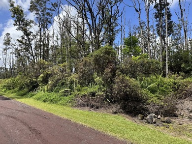 Now is the perfect time to invest in this this quarter acre - photo 1