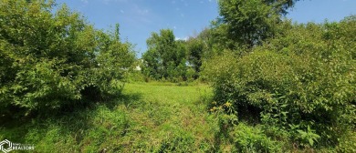 Diamondhead Lake Lot For Sale in Dexter Iowa