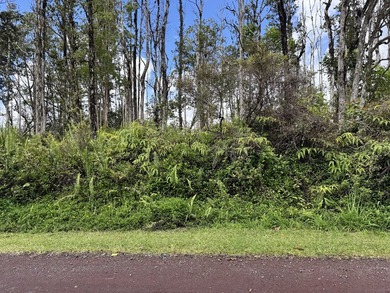 Now is the perfect time to invest in this this quarter acre - photo 2