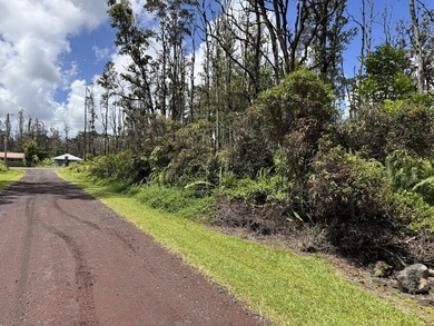 Now is the perfect time to invest in this this quarter acre - photo 3