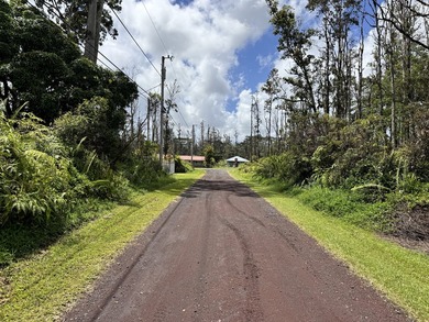 Now is the perfect time to invest in this this quarter acre - photo 4