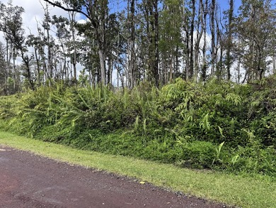 Now is the perfect time to invest in this this quarter acre - photo 6