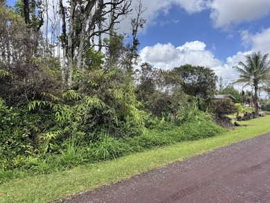 Now is the perfect time to invest in this this quarter acre - photo 7