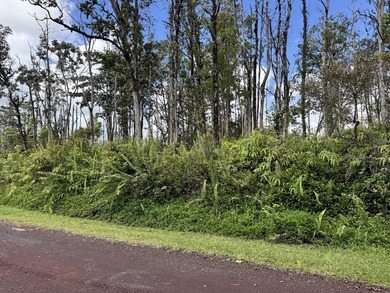 Now is the perfect time to invest in this this quarter acre - photo 8