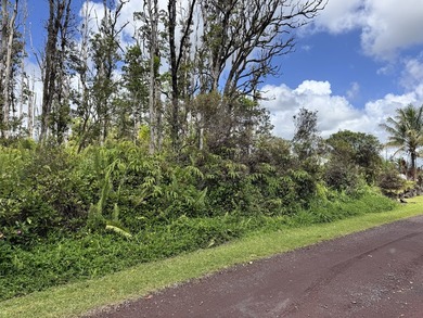 Now is the perfect time to invest in this this quarter acre - photo 9