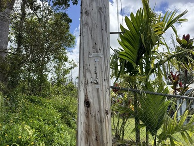 Now is the perfect time to invest in this this quarter acre - photo 10