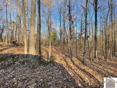 Lake Lot Sale Pending in Cadiz, Kentucky