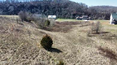 **Buildable Lot!** Survey & soil map available! If you're - photo 10