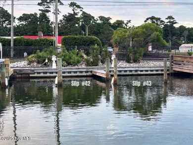 Prime wet slip available at the highly desirable Harborside Club - photo 1